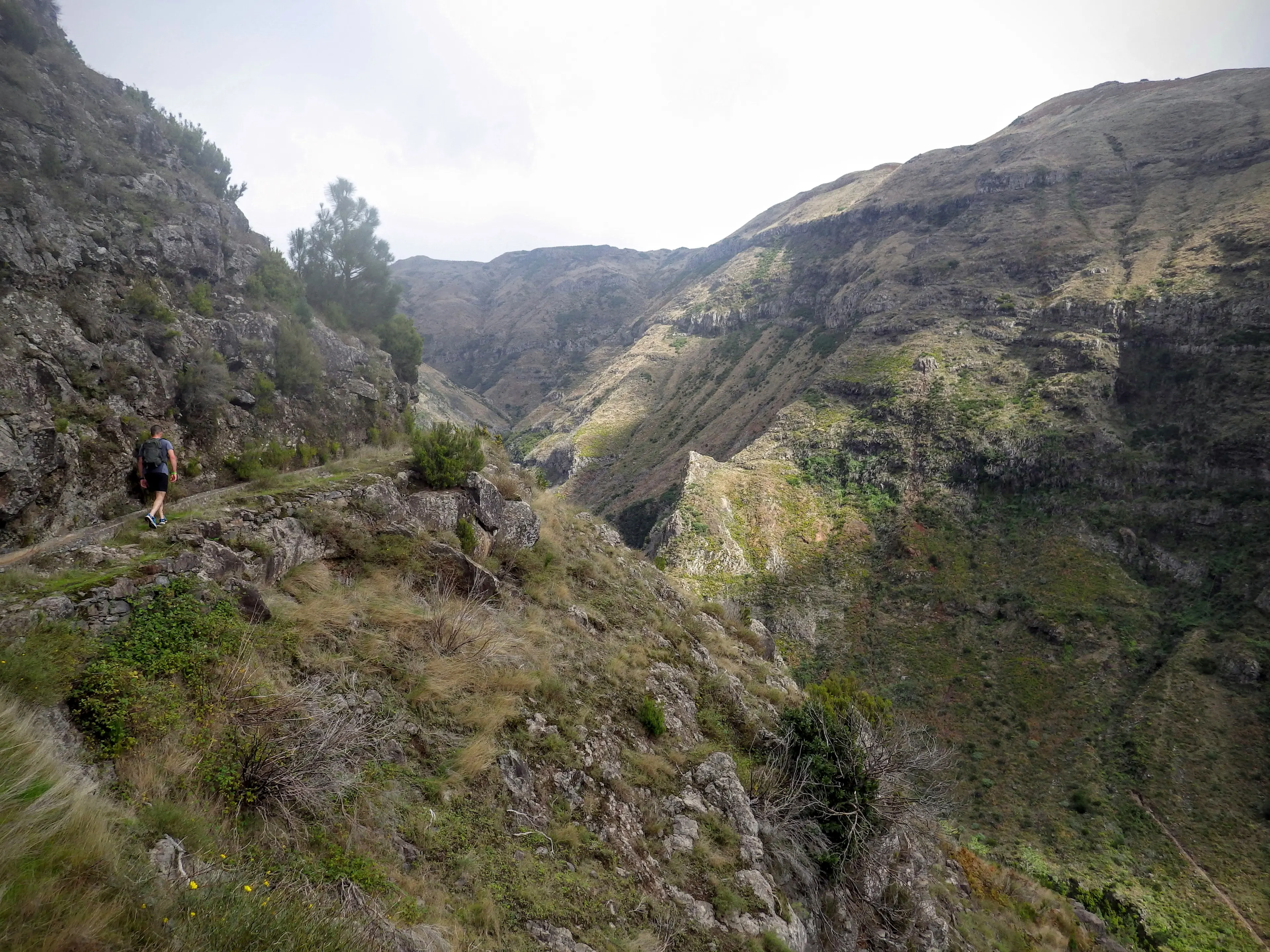 Photo of Eco-Trail Funchal-Madeira Island 40 km #3
