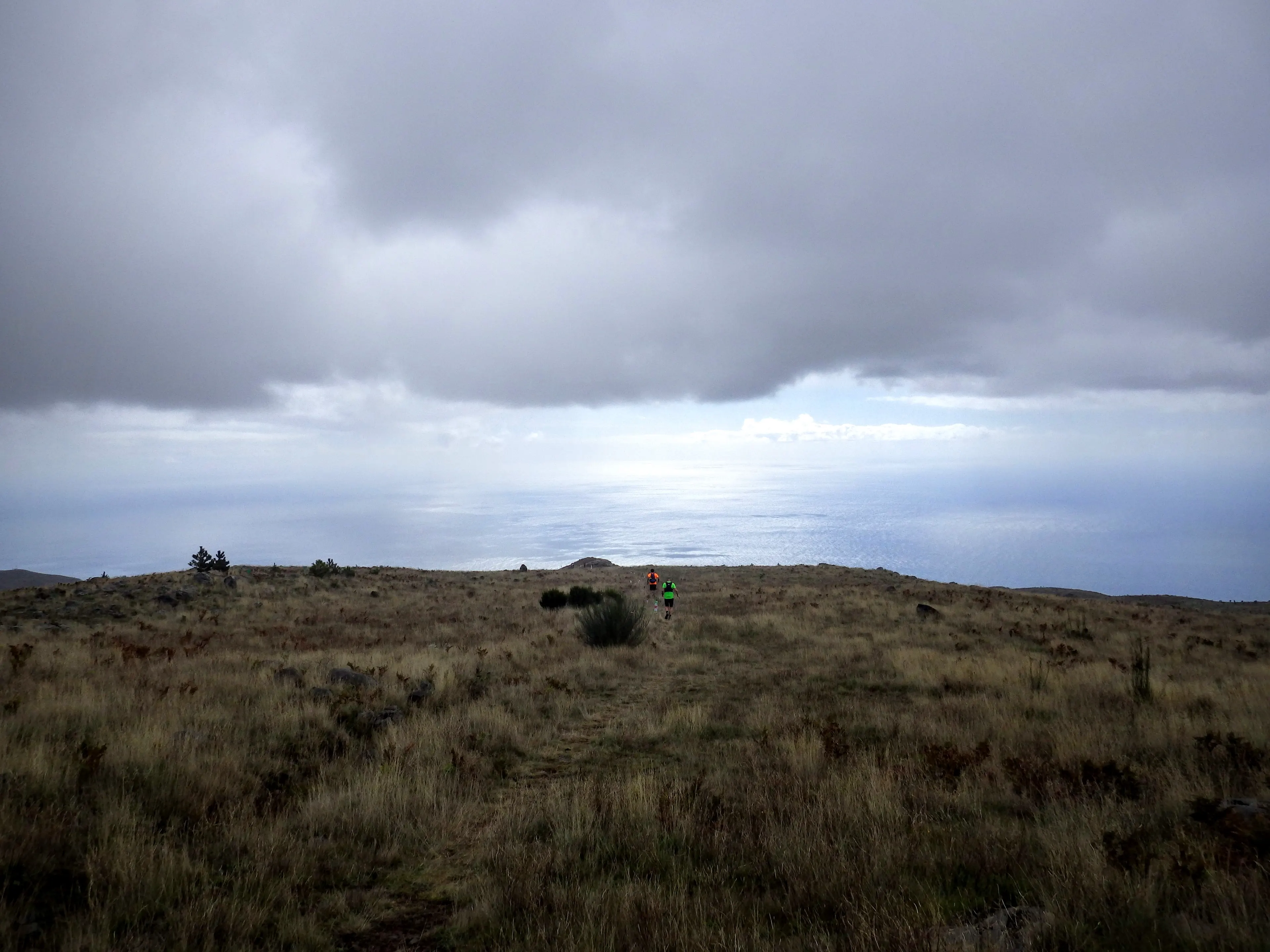 Photo of Eco-Trail Funchal-Madeira Island 40 km #4