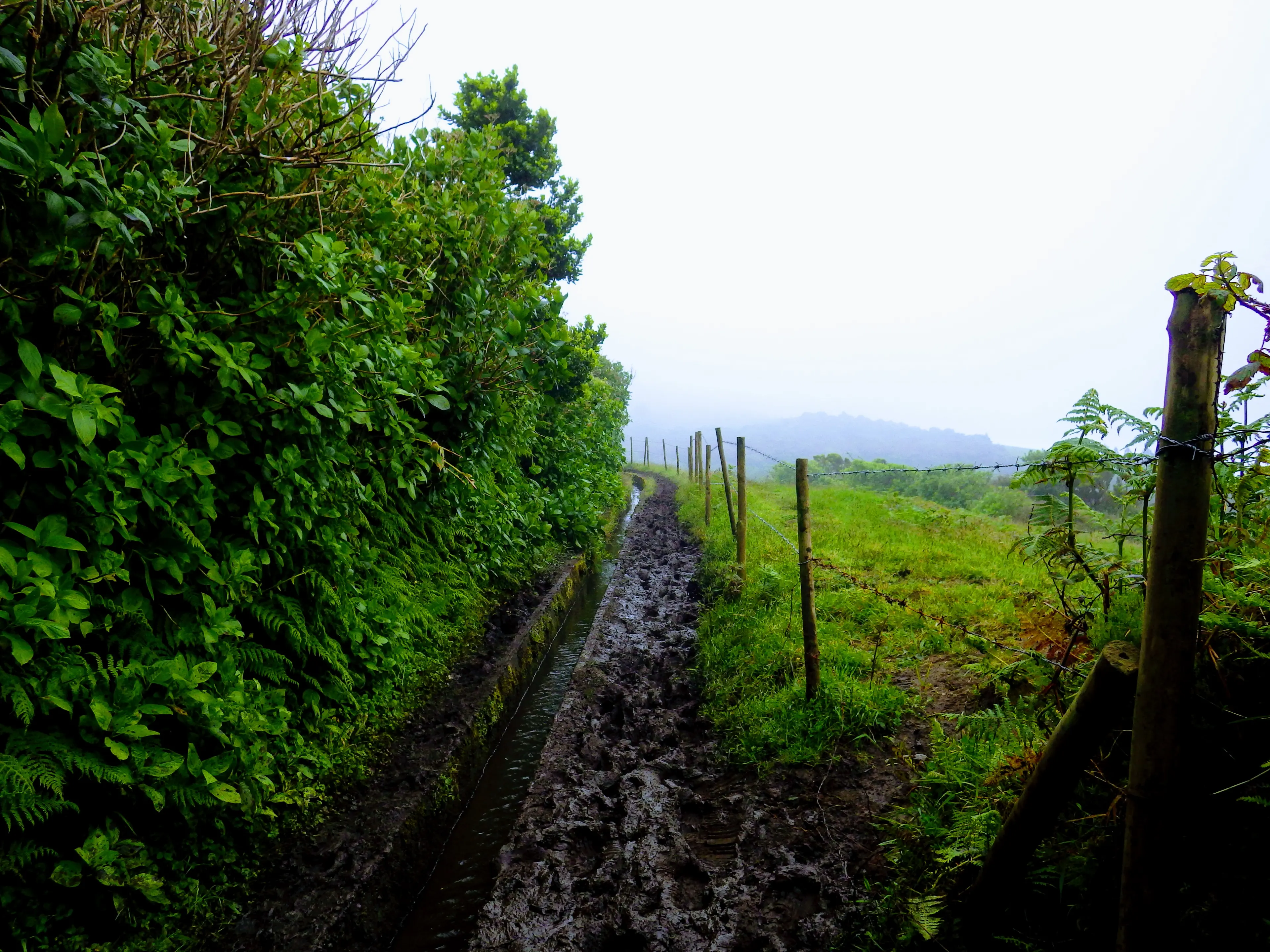 Photo of Azores Trail Run - Faial Costa a Costa #2